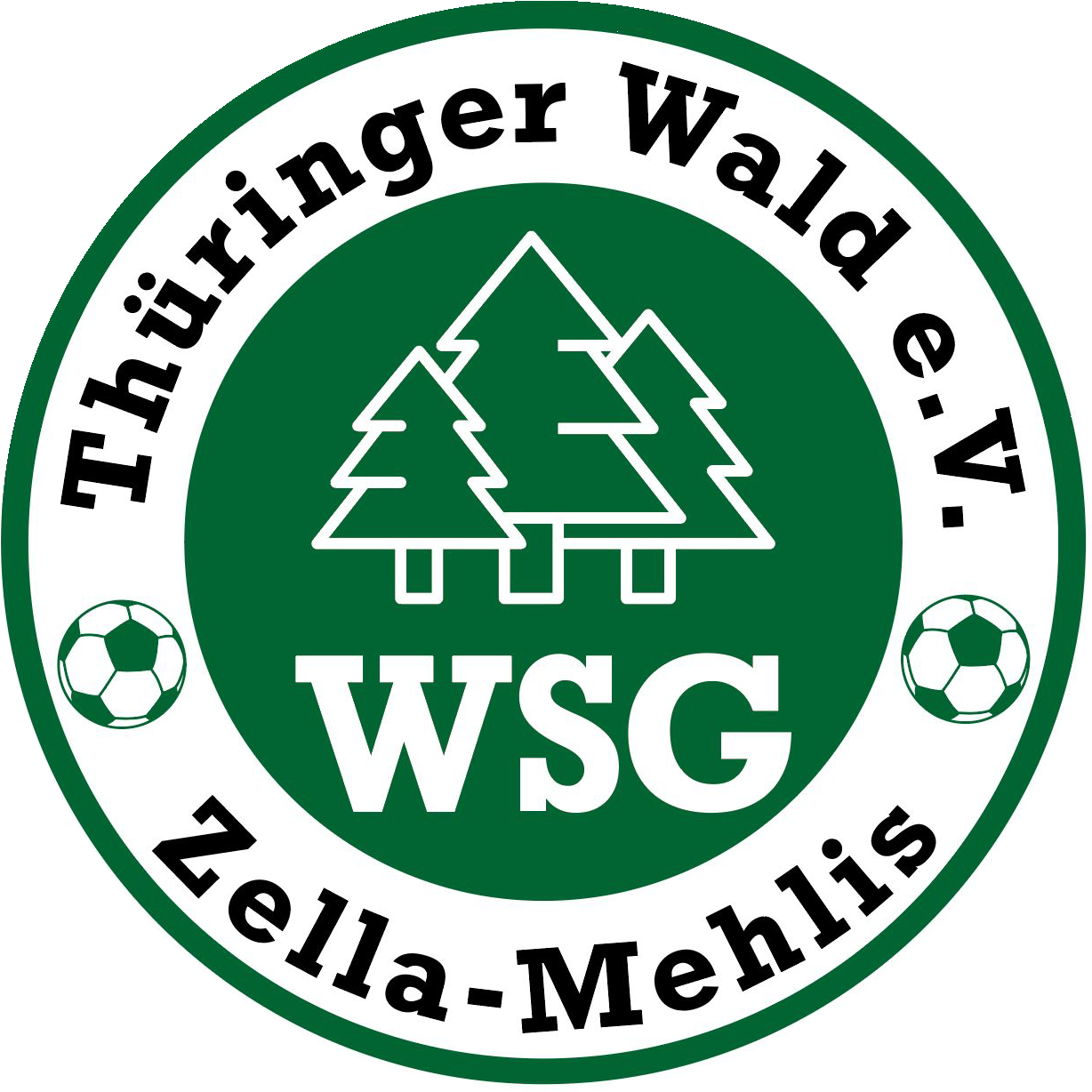WSG Zella-Mehlis