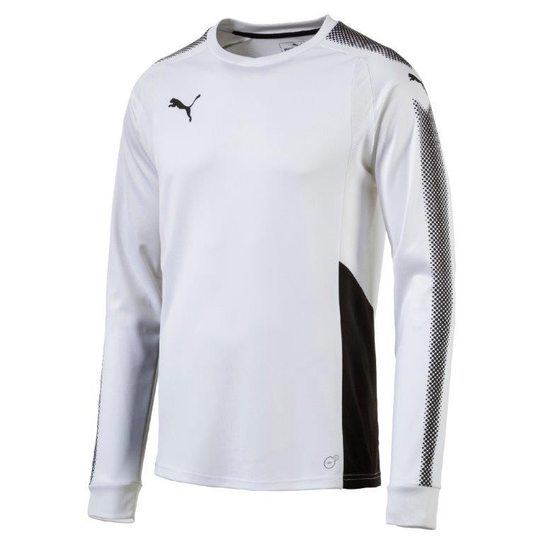 puma tw