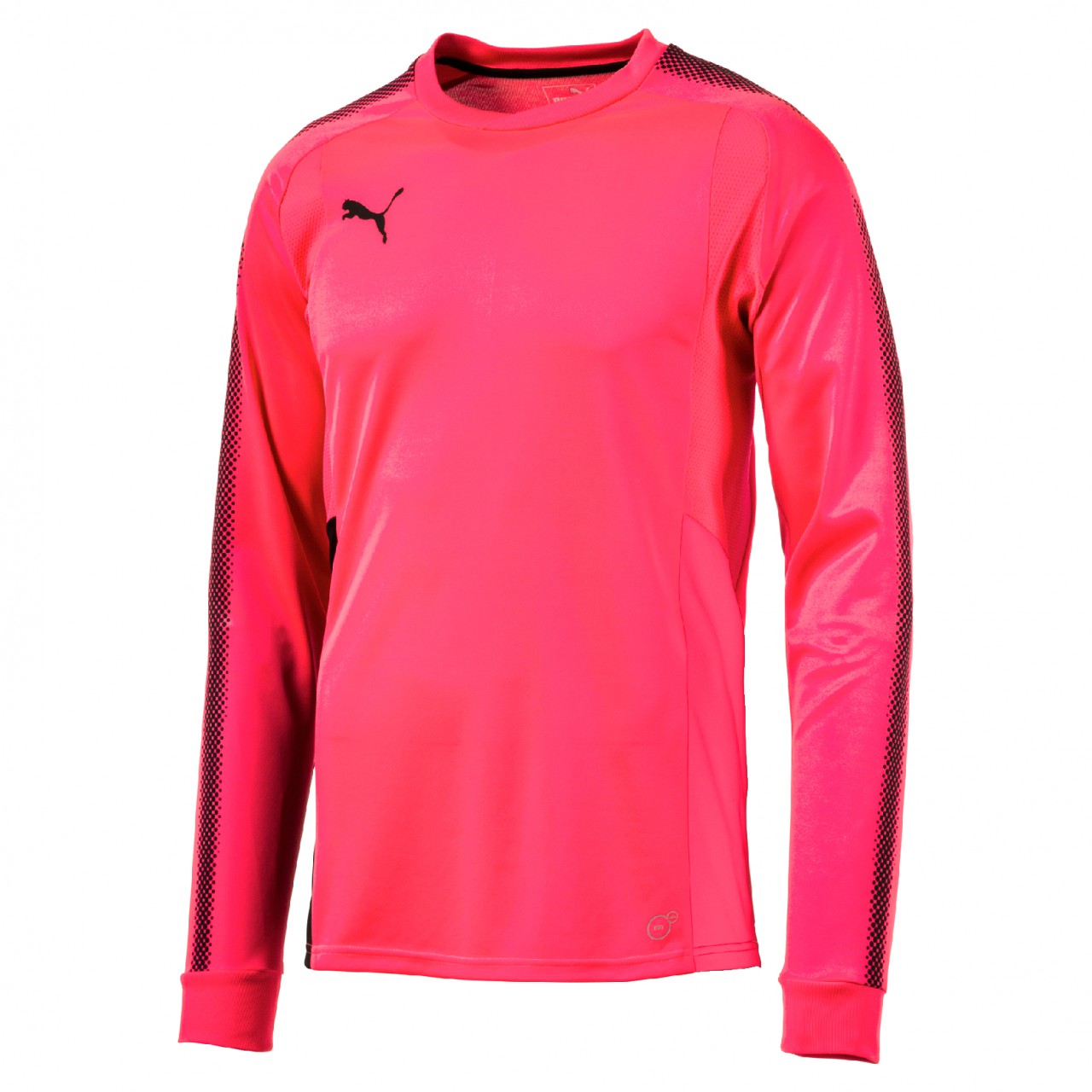 puma tw
